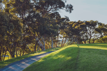 Golf hole with green grass and trees in distance 