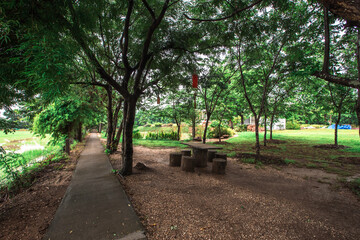 The background of an important tourist attraction in Khon Kaen Province. (Wat Thung Setthi) is a large pagoda in the middle of a swamp, tourists always come to see the beauty in Thailand.