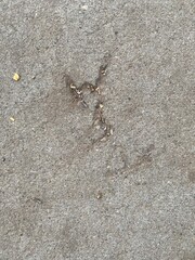 A random collection of textures