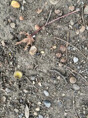 A random collection of textures