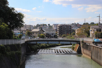 帷子川（神奈川県横浜市旭区）