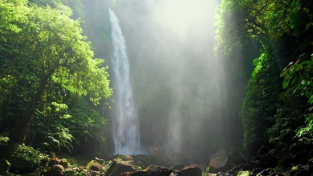 Beautiful Waterfall hidden in tropical rainforest jungle on nature background. 4K