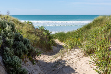 A natural access path between sand dunes on to the beach at Beachport South Australia on November...