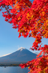 紅葉の美しい秋の富士山