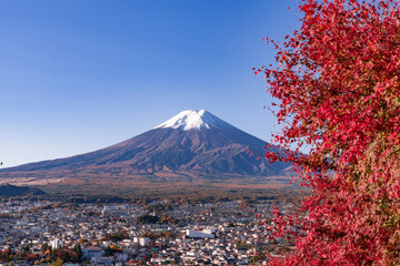 紅葉の美しい秋の富士山