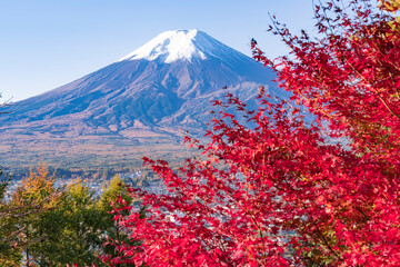 紅葉が美しい秋の富士山