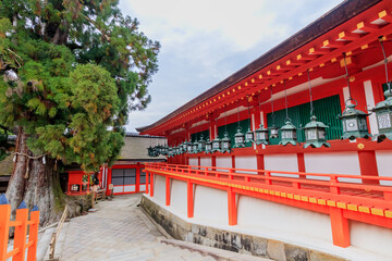 Fototapeta na wymiar 春日大社　奈良公園　奈良県奈良市　Kasuga-taisya Nara-ken Nara city