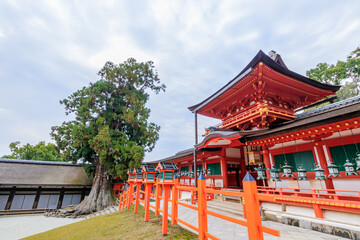 Fototapeta na wymiar 春日大社　奈良公園　奈良県奈良市　Kasuga-taisya Nara-ken Nara city