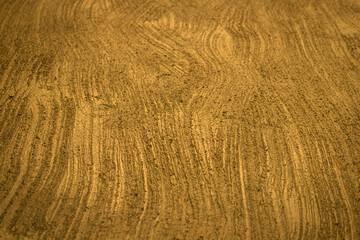 Gold wall treated with textured Rough plaster