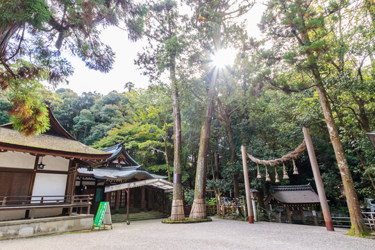 「大和国」の画像 155 件の Stock 写真、ベクターおよびビデオ Adobe Stock