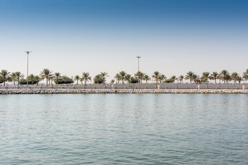 Fototapeta na wymiar Blue sea and green date palm trees in the corniche park in Dammam, Saudi Arabia