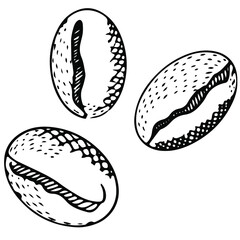 Vector stylized coffee beans. Logo, printing on clothing, paper, postcard. Sticker, print