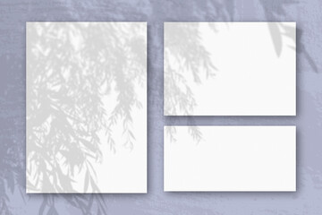 Several horizontal and vertical sheets of white textured paper against a blue wall background. Mockup with an overlay of plant shadows. Natural light casts shadows from a willow branch