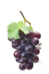 Grape fruit on white background