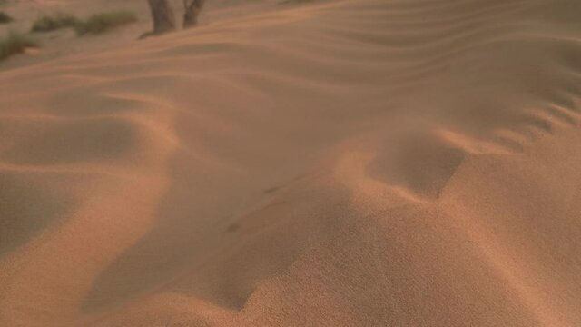 Strong wind blowing sand on top of the sand dune during late afternoon.