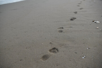 海、砂浜、波打ち際のあしあと