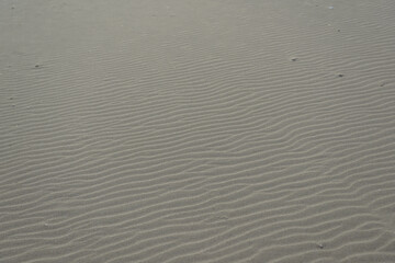 砂浜の模様　風紋