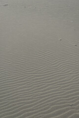 砂浜の模様　風紋