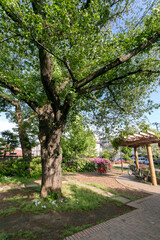 関町北児童遊園（東京都練馬区関町北）