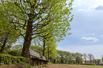 文理台公園（東京都西東京市東町）