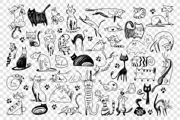 Cats doodle set. Collection of hand drawn childish patterns domesticated animals kitties kitten pets in different poses isolated on white background. Human friends vector illustration for kids. © drawlab19