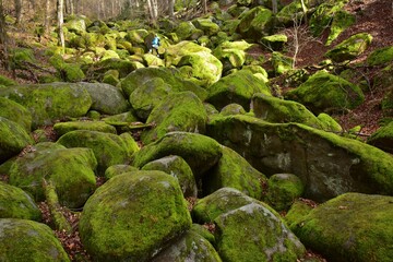 Wolf Gorge is a natural monument in Central Bohemia, close to Prague, Czech Republic. The boulders are magmatic rocks 330 millions of years old.