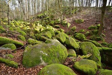 Wolf Gorge is a natural monument in Central Bohemia, close to Prague, Czech Republic. The boulders...