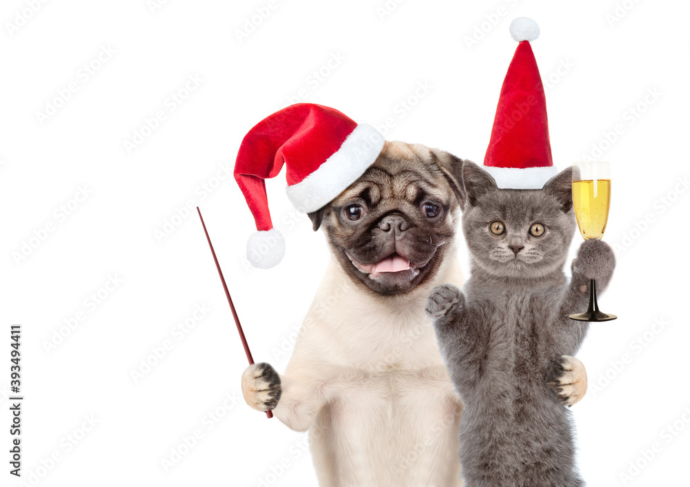 Aufkleber funny cat holds glass of a wine. pug puppy points away on empty space. pets wearing red christmas ha