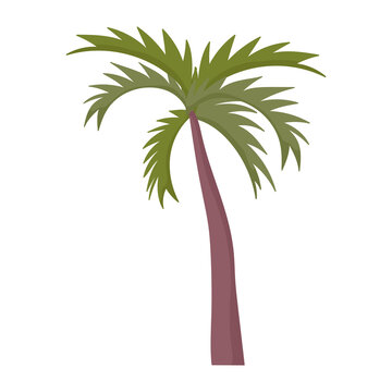 palm tree foliage tropical exotic plant icon cartoon