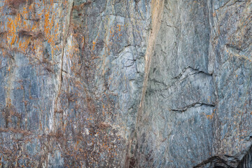 a fragment of a stone rock with vegetation forming a colored pattern, complemented by a stone texture with vertical crevices