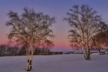 中国内蒙古乌兰布统草原冬季风光