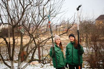gardening team, cute caucasian female gardeners pruning apple tree branches with hedge trimmer and...