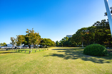 横浜・山下公園/芝生と花壇