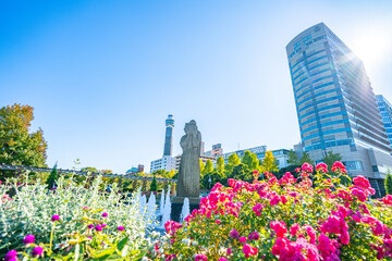 山下公園/噴水広場/花壇