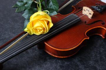 Fototapeta premium Violin, yellow rose on black background. Top
