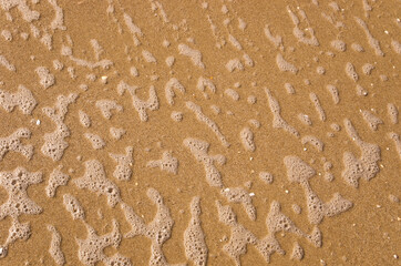 Foam on the yellow sand of the sea coast, background