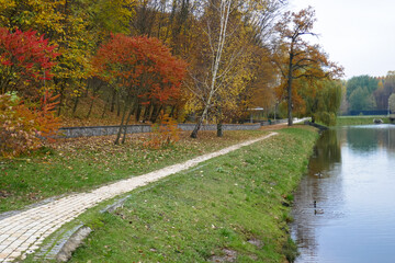 Very beautiful autumn park, leaves and road.