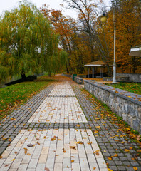 Very beautiful autumn park, leaves and road.
