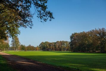 Rural landscape in autumn colors near Winterswijk, Netherlands
