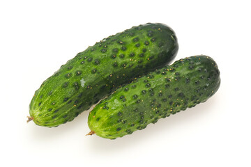 Ripe fresh green two cucumbers