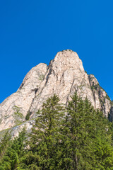 Mountain peak with spruce trees in the foreground