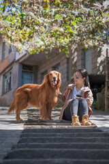 Golden Retriever accompanied by the owner