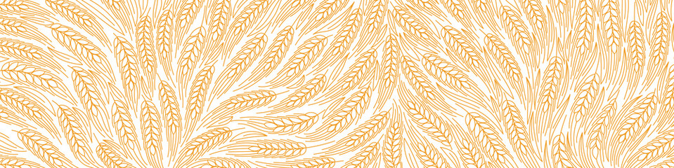 Cereal field pattern background. Ears of wheat. Agriculture harvest. Dry yellow. Orange contour vector line. Bread wrapper. Horizontal banner. © Ilia