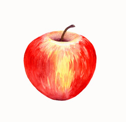 Juicy apple. Watercolor hand drawn food illustration on white background