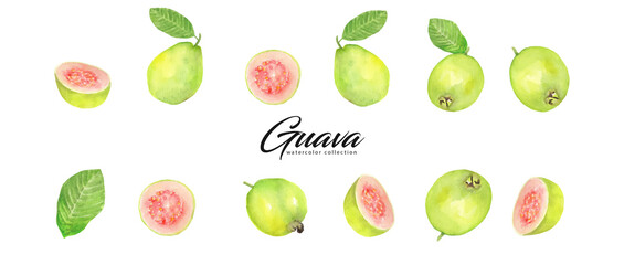 Guava watercolor collection