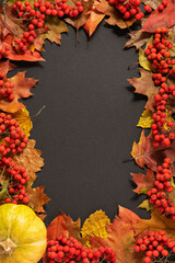 Thanksgiving day red background frame decorated with pumpkin, rowan berries and autumn leaves. Autumn still life. Halloween holiday.