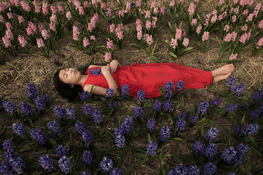 girl in red dress resting in flower field of  pink and purple hyacinths