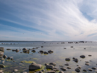 Fototapeta premium baltic sea in summer