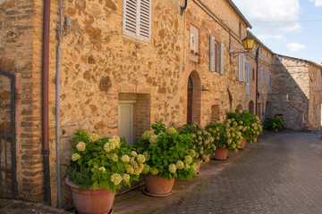 Fototapeta na wymiar Residential buildings in an historic street in the medieval village of Murlo, Siena Province, Tuscany, Italy 