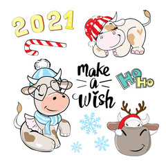 Christmas collection with a cute winter cows. Vector cartoon illustration. Symbol 2021